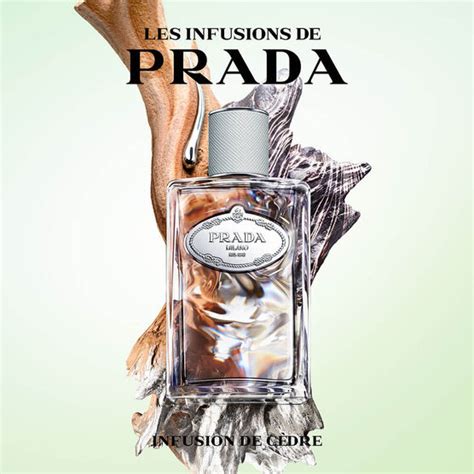 prada d'iris cedre|prada iris cedre sephora.